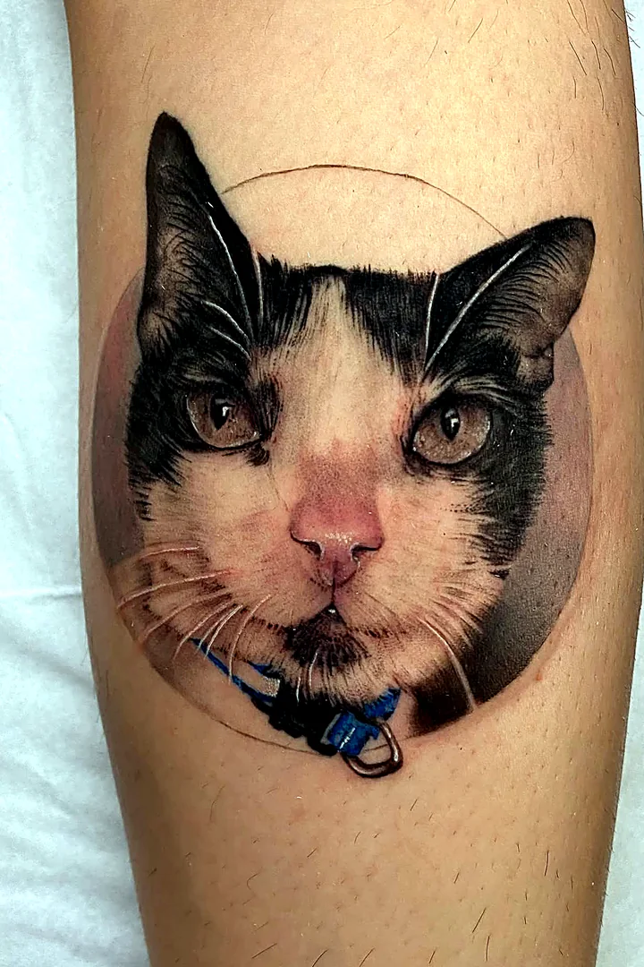 Retrato realista de un gato tatuado por Katy