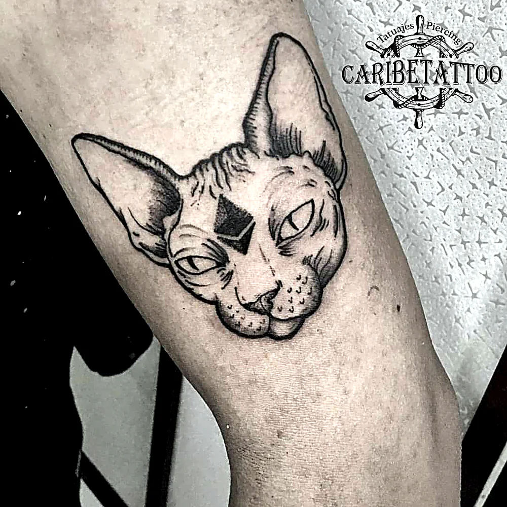 Tatuaje blackwork de un gato esfinge