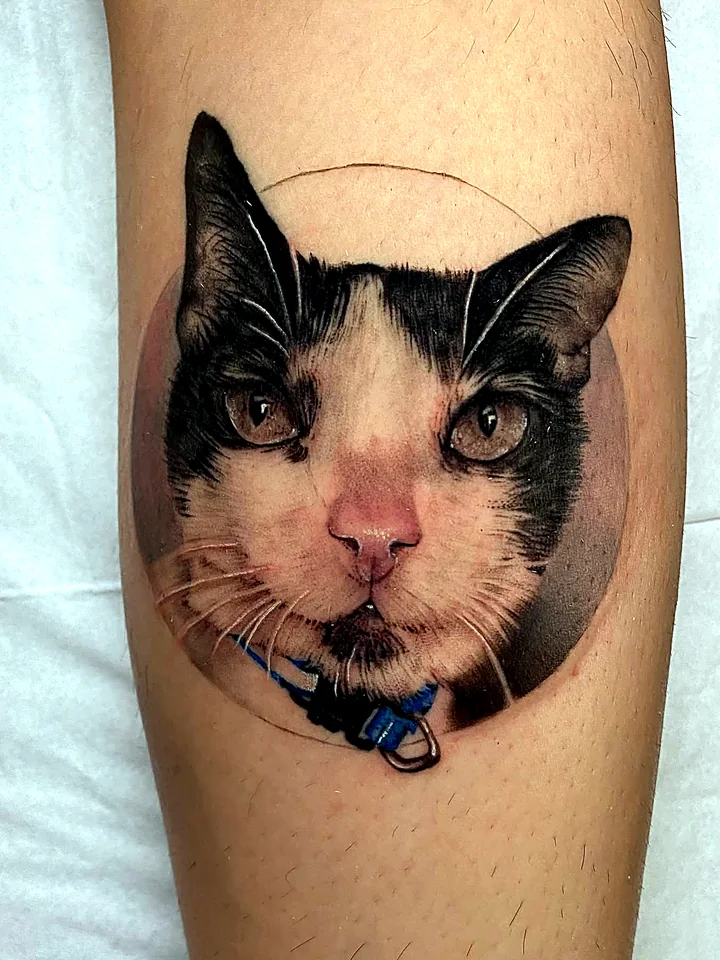 Tatuaje realista de un gato